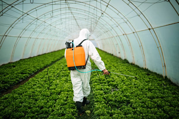 Best Commercial Pest Control Services  in Allouez, WI