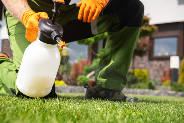 Best Best Pest Control Companies  in Allouez, WI