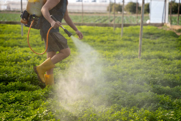 Best Pest Control Cost  in Allouez, WI