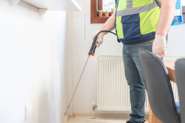 Best Rat Extermination Near Me  in Allouez, WI