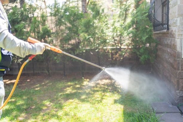 Best Flea Control Services  in Allouez, WI