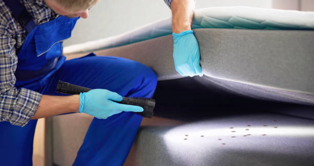 Flea Control Services in Allouez, WI