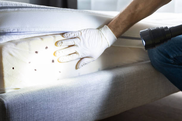 Best Best Pest Control Companies  in Allouez, WI