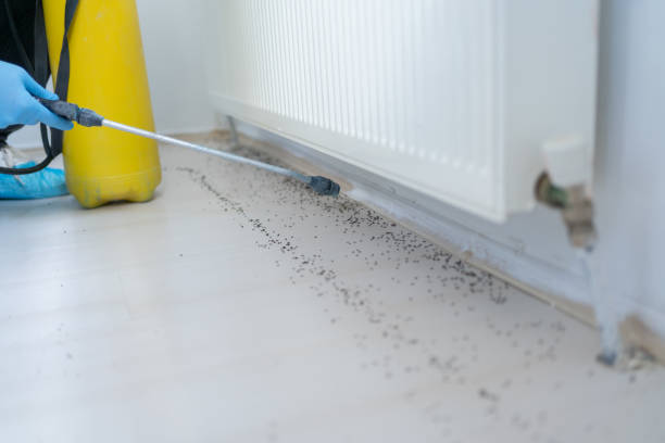 Best Cockroach Control Services  in Allouez, WI