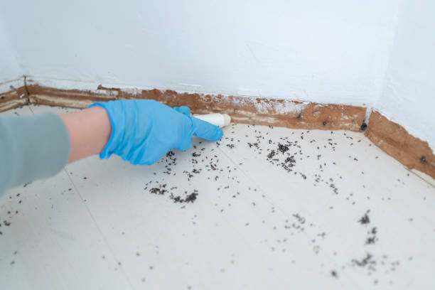 Allouez, WI Pest Control Company