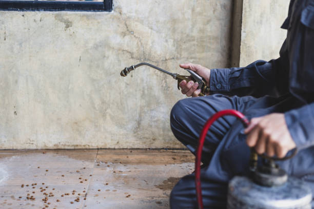 Best Mosquito Control Services  in Allouez, WI
