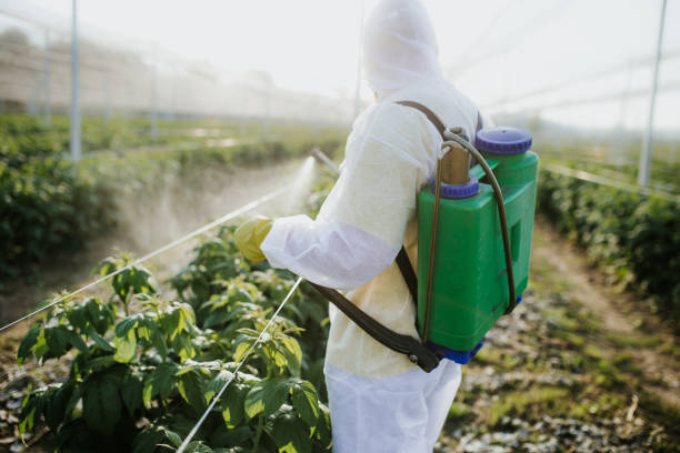 Best Ant Control Services  in Allouez, WI